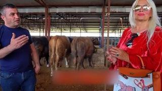 Banu Alkan 68 bin TL'ye kurbanlık satın aldı! Tartışma yaratan görüntü