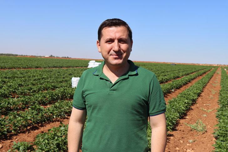 Kilis'te çiftçiler biber hasadına başladı G4