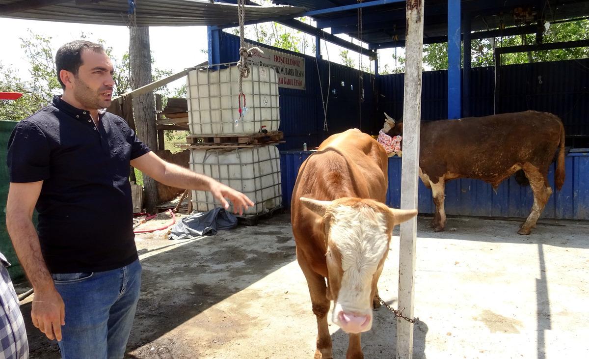 Avcılar&rsquo;da yetim ve &ouml;ks&uuml;zlere kurban bağışı