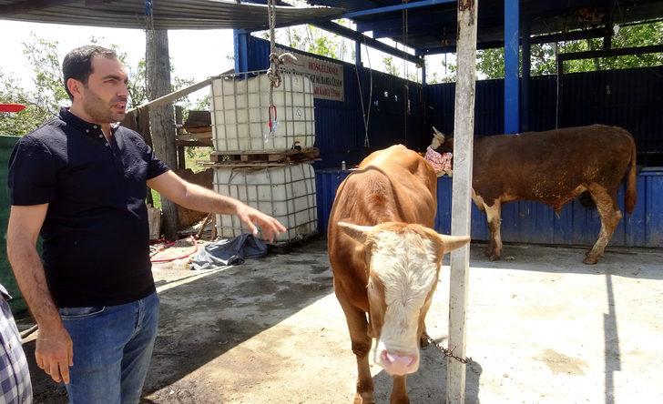 Avcılar’da yetim ve öksüzlere kurban bağışı G1