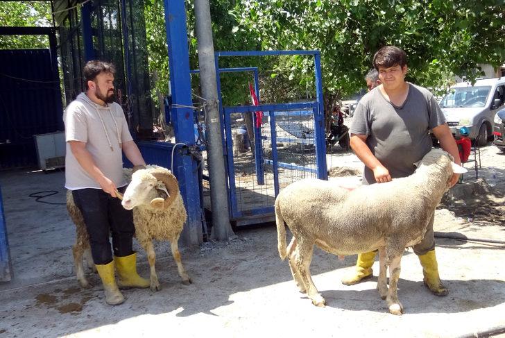 Avcılar’da yetim ve öksüzlere kurban bağışı G2