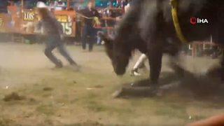 Meksika’daki rodeoda boğanın saldırdığı binici hayatını kaybetti