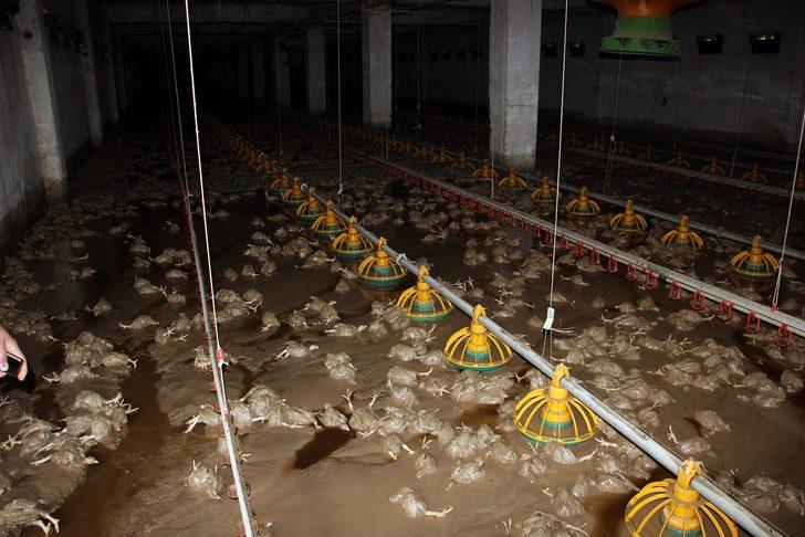 Düzce'de felaketin bıraktığı korkunç izler ortaya çıktı! Selin bilançosu gözler önüne serildi G2