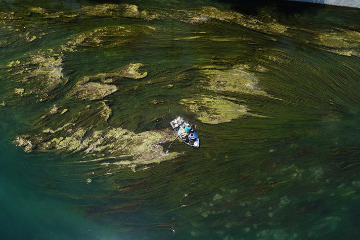 Seyhan Nehri'nde yosun birikintileri oluştu G1