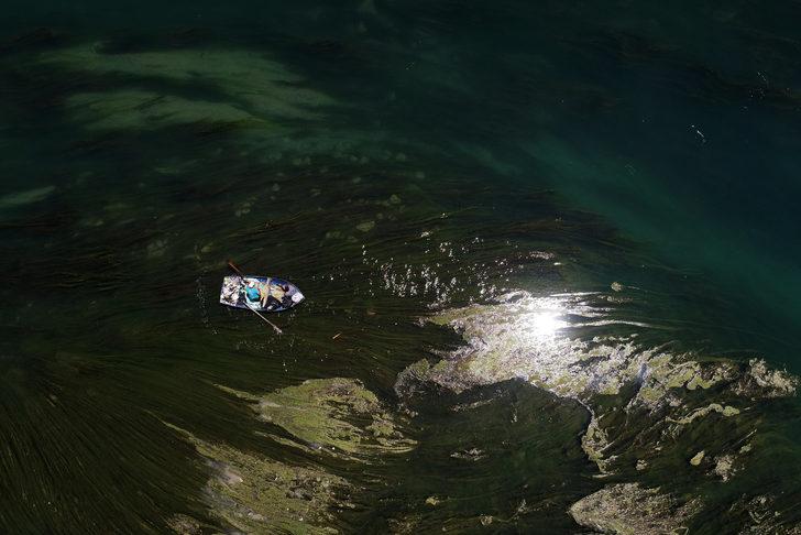 Seyhan Nehri'nde yosun birikintileri oluştu G2