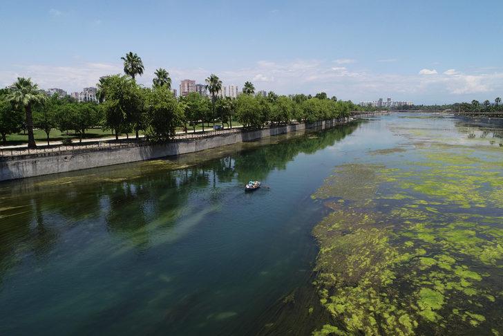 Seyhan Nehri'nde yosun birikintileri oluştu G3
