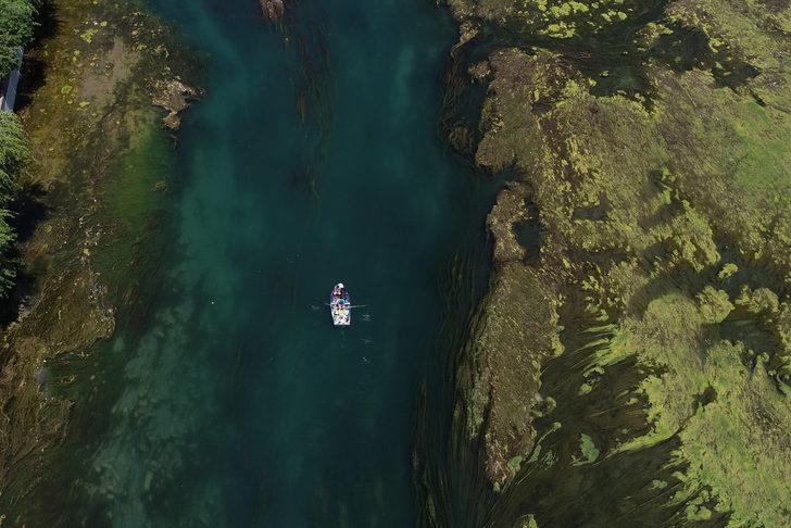 Seyhan Nehri'nde yosun birikintileri oluştu G4