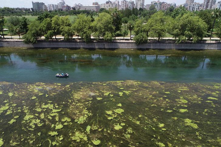 Seyhan Nehri'nde yosun birikintileri oluştu G5