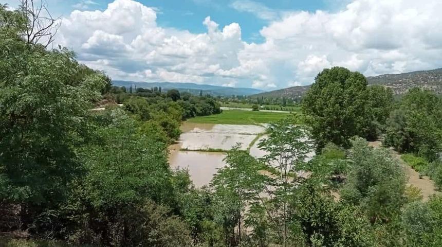 Sinop'ta sağanak nedeniyle oluşan taşkınlar tarım arazilerine zarar verdi