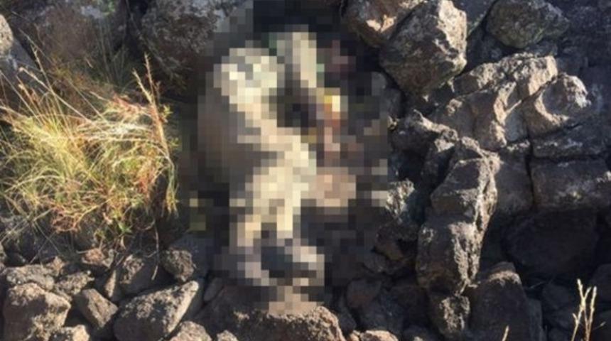 Terör örgütü PKK'nın "Tendürek sorumlusu" öldürüldü