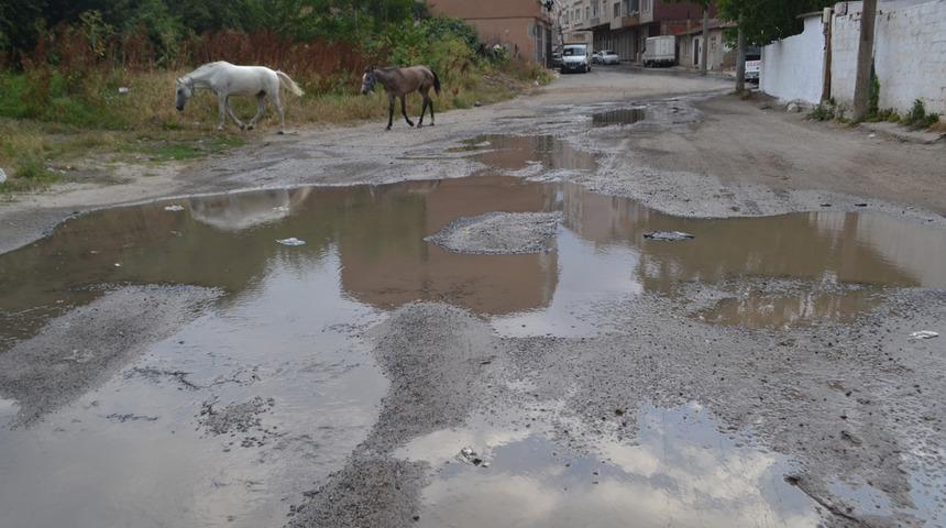 "Ördek alacağım şimdi salacağım yola yüzsünler" Boşa akan içme suyu yolları göle çevirdi! Vatandaşlar tepkili