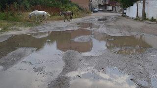 Ördek alacağım şimdi salacağım yola yüzsünler Boşa akan içme suyu yolları göle çevirdi! Vatandaşlar tepkili