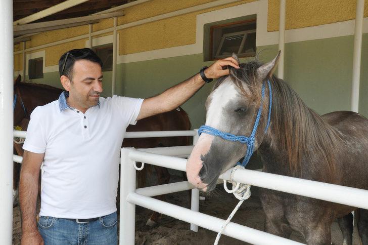 TİGEM 50 tayın satışından 3 milyon 686 bin lira gelir elde etti G4