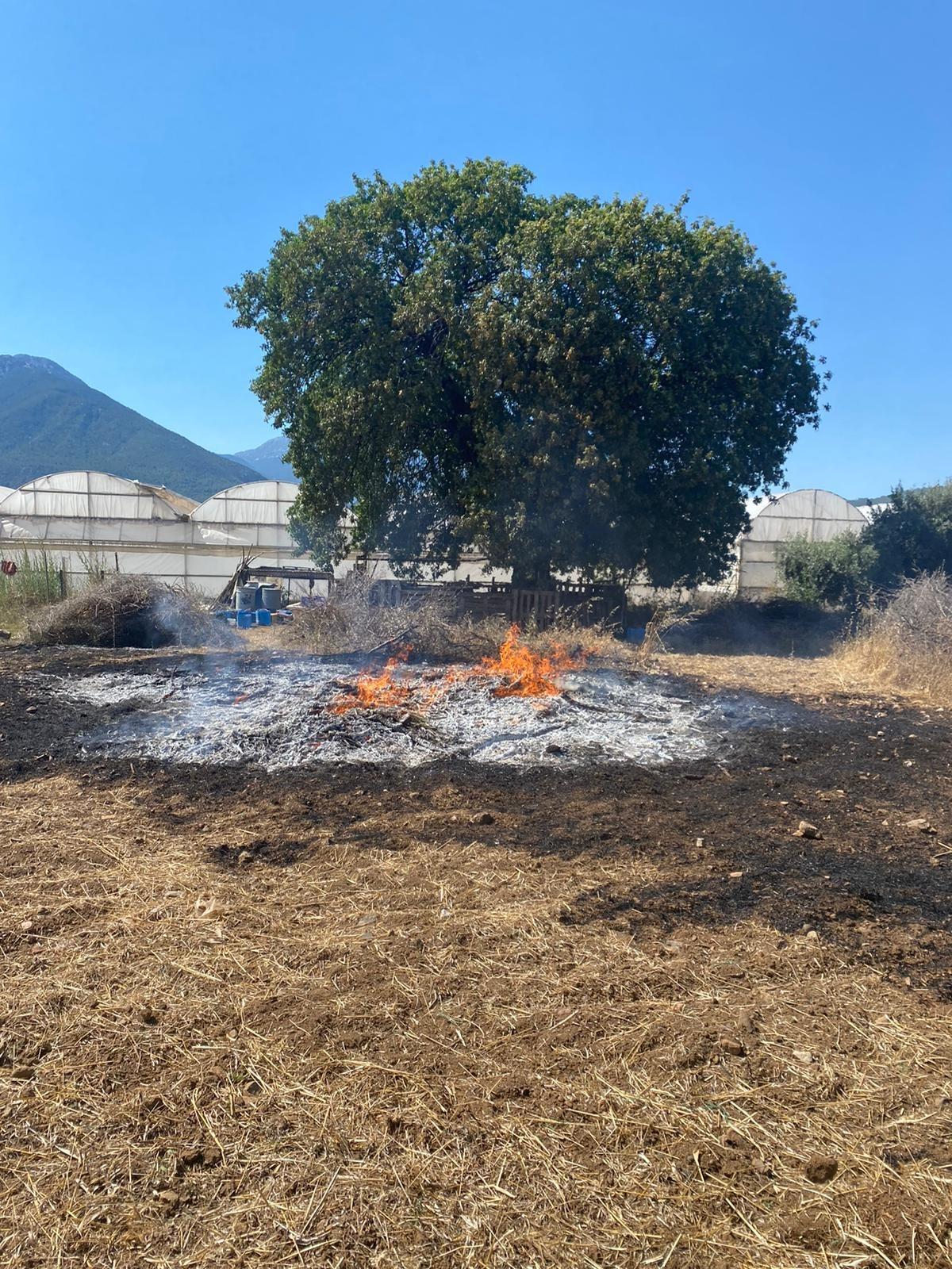 Fethiye'de iki noktada otluk alanda &ccedil;ıkan yangınlar s&ouml;nd&uuml;r&uuml;ld&uuml;