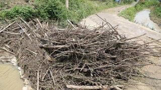 Sakarya'da sağanaktan etkilenen bölgelerde temizlik çalışması yapıldı