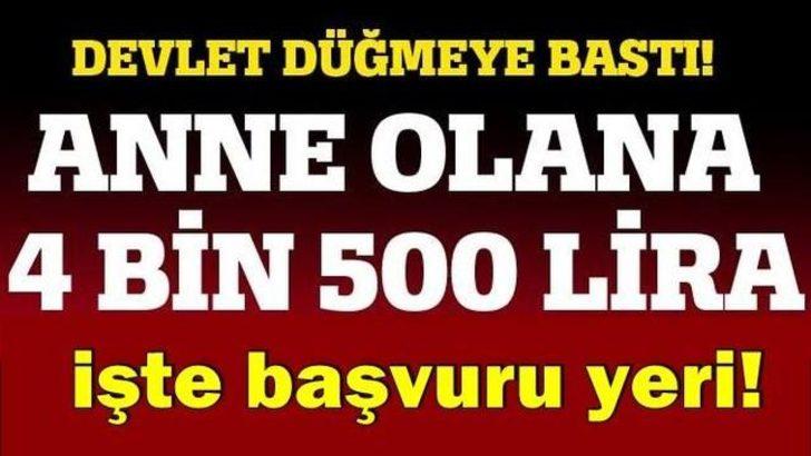 Büyük bir ailenin durumunu nereden ve nasıl edinebilirim Büyük bir ailenin durumunu nereden ve nasıl edinebilirim