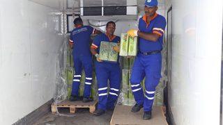 Kırkpınar Yağlı Güreşleri'nde 3 ton zeytinyağı kullanılacak