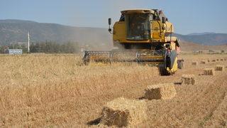 Gaziantep’te hububat hasadının ardından saman mesaisi başladı