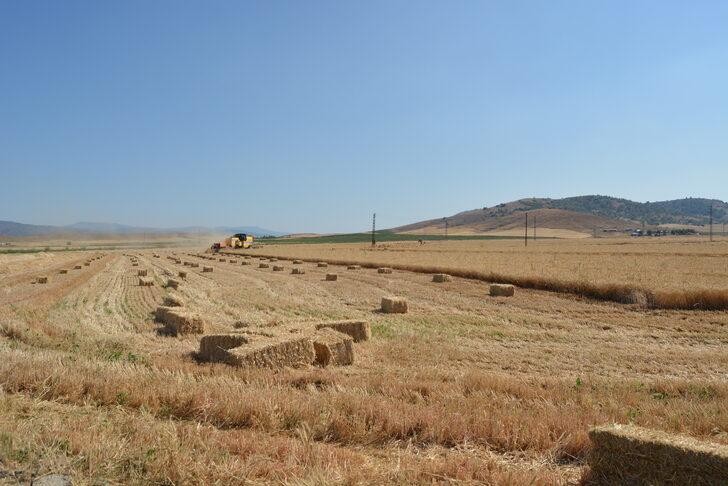 Gaziantep’te hububat hasadının ardından saman mesaisi başladı G3