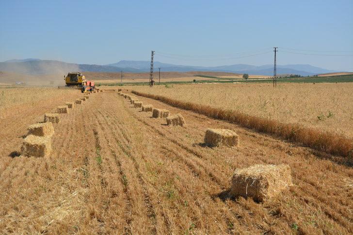 Gaziantep’te hububat hasadının ardından saman mesaisi başladı G5