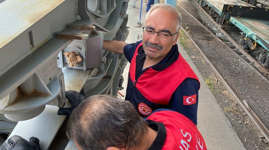 Sivas'ta vagona sıkışan kedi yavrusunu itfaiye ekipleri kurtardı