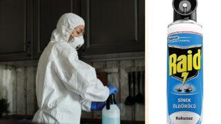 Yaz aylarında istenmeyen her türlü haşerat için en etkili böcek ilacı çeşitleri