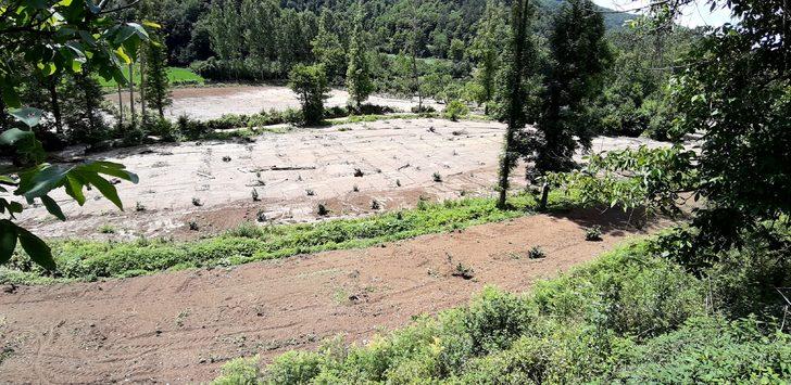 Bolu'da sel nedeniyle 2 alabalık işletmesi hasar gördü G1