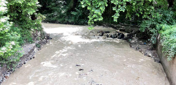 Bolu'da sel nedeniyle 2 alabalık işletmesi hasar gördü G2