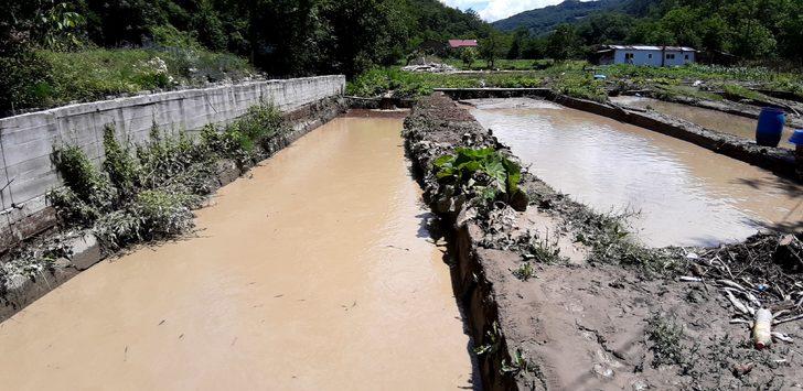 Bolu'da sel nedeniyle 2 alabalık işletmesi hasar gördü G3