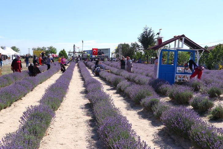 "Tekirdağ 2. Lavanta Günleri" sona erdi G1