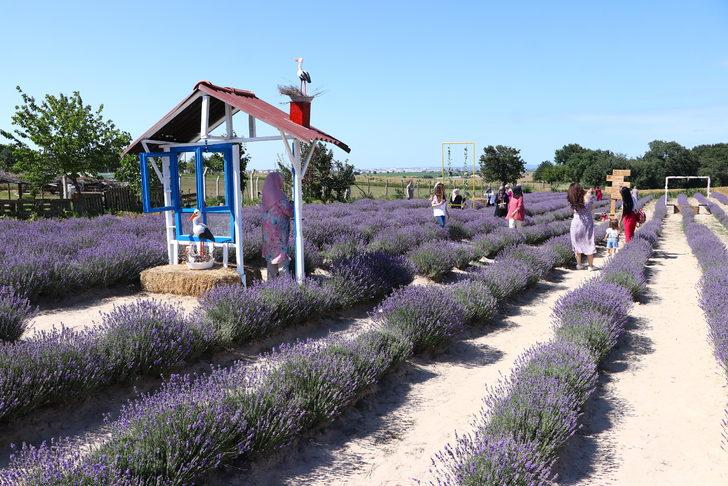 "Tekirdağ 2. Lavanta Günleri" sona erdi G2