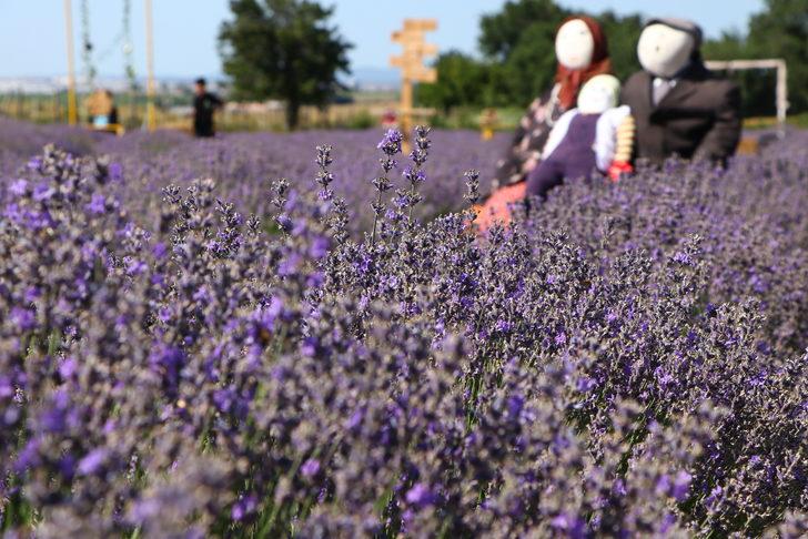 "Tekirdağ 2. Lavanta Günleri" sona erdi G5