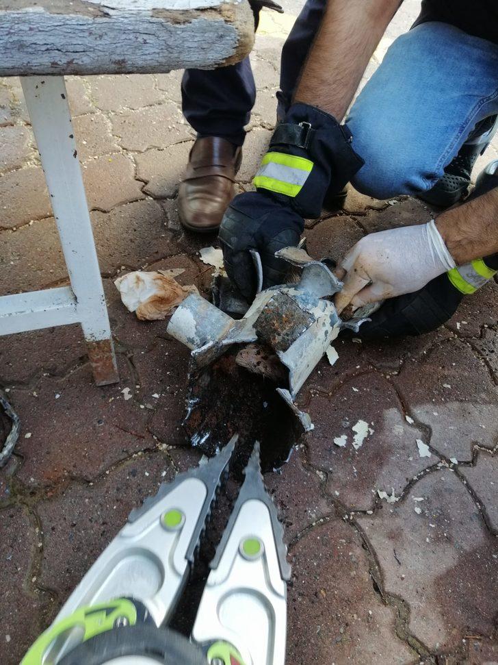 Elazığ'da atık su borusunda sıkışan yavru kedi kurtarıldı G2