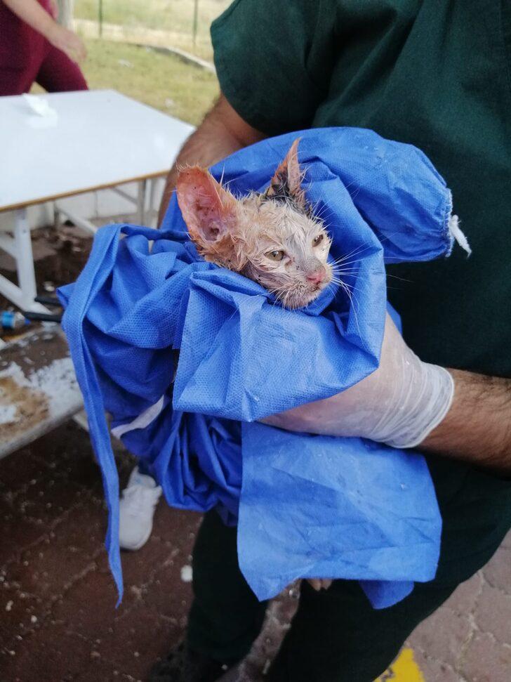 Elazığ'da atık su borusunda sıkışan yavru kedi kurtarıldı G3