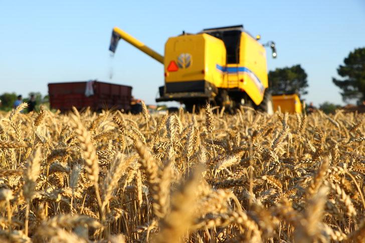 Tekirdağ'da "6. Hasat Bayramı" kutlandı G1