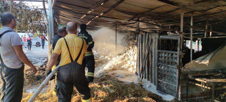 Muğla'da ağıl ve minibüs yandı G1