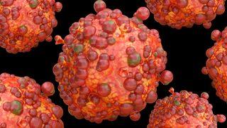 Türkiye'deki ilk maymun çiçeği vakası açıklandı