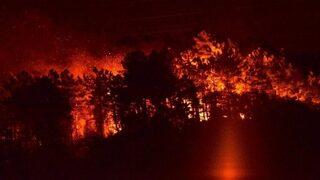 Trabzon’da orman yangını