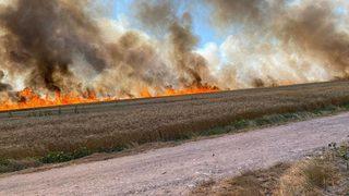 Türkiye'de şoke eden yangınlar! Neredeyse her gün haber geliyor...