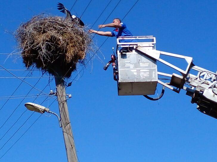 Osmaniye'de yere düşen leylek yavrusunu itfaiye yuvasına bıraktı G1