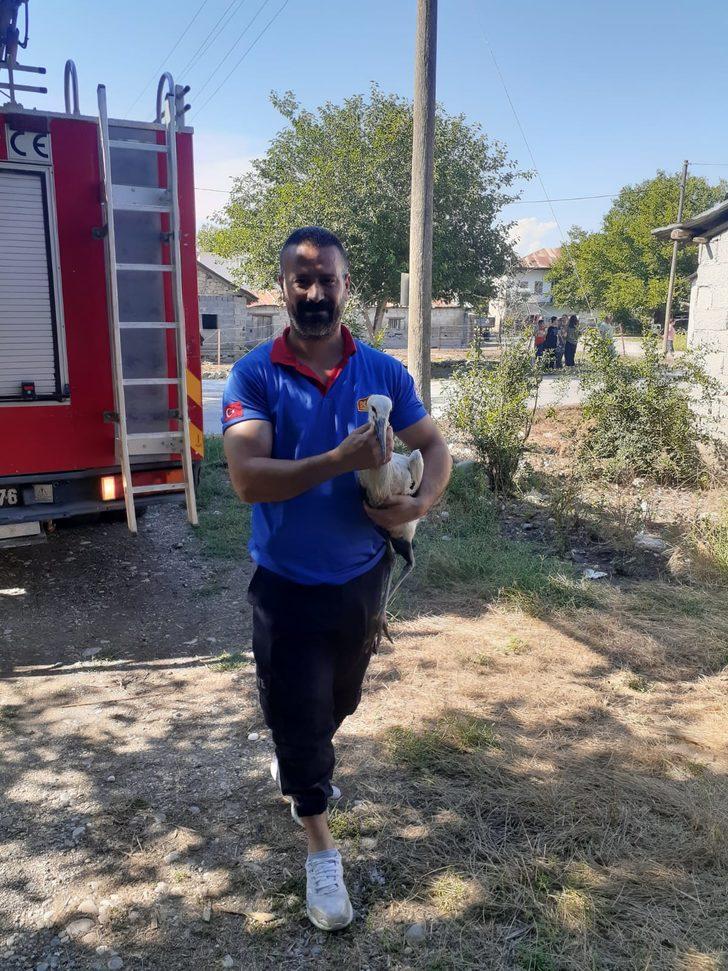 Osmaniye'de yere düşen leylek yavrusunu itfaiye yuvasına bıraktı G2