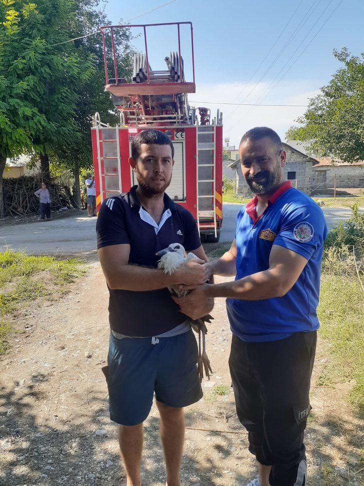 Osmaniye'de yere düşen leylek yavrusunu itfaiye yuvasına bıraktı G3