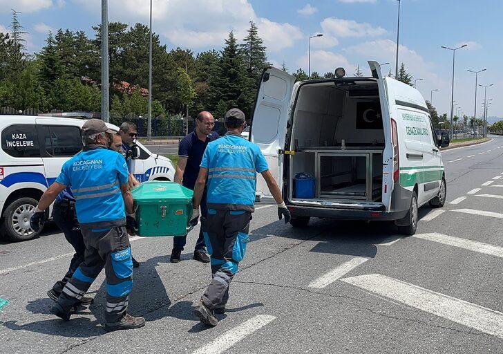 Kayseri'de otomobilin çarptığı bisikletli öldü G3