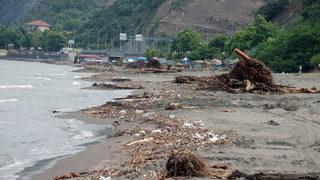 Zonguldak'ta selin denize sürüklediği odunlar kıyıya vurdu