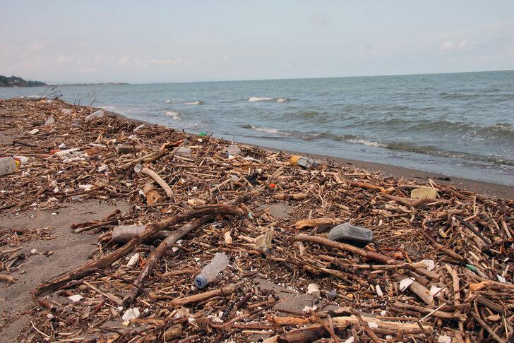 Zonguldak'ta selin denize sürüklediği odunlar kıyıya vurdu G3