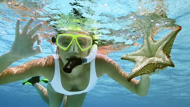 Yepyeni maceralara dalış yapmak isteyenler için en iyi dalış maskesi önerileri