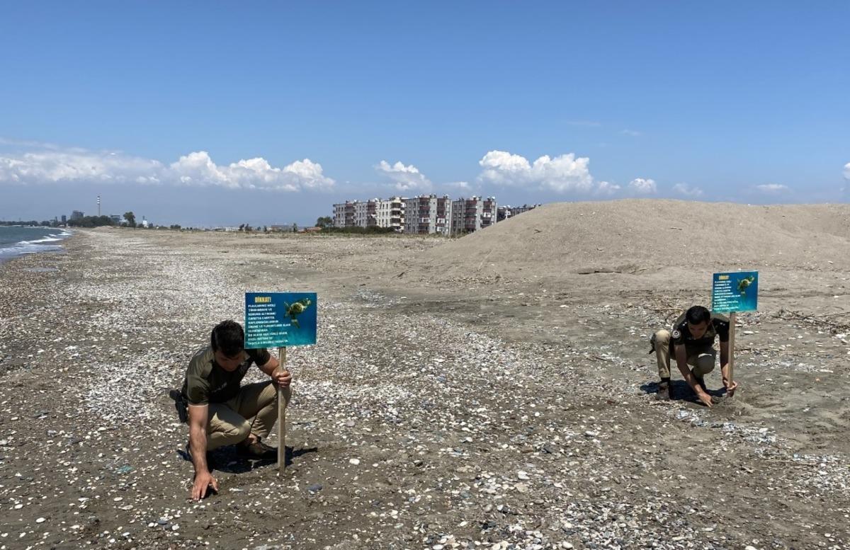 Mersin'de caretta carettaların yuva yaptığı sahile uyarı levhaları yerleştirildi