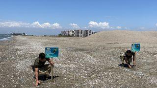 Mersin'de caretta carettaların yuva yaptığı sahile uyarı levhaları yerleştirildi