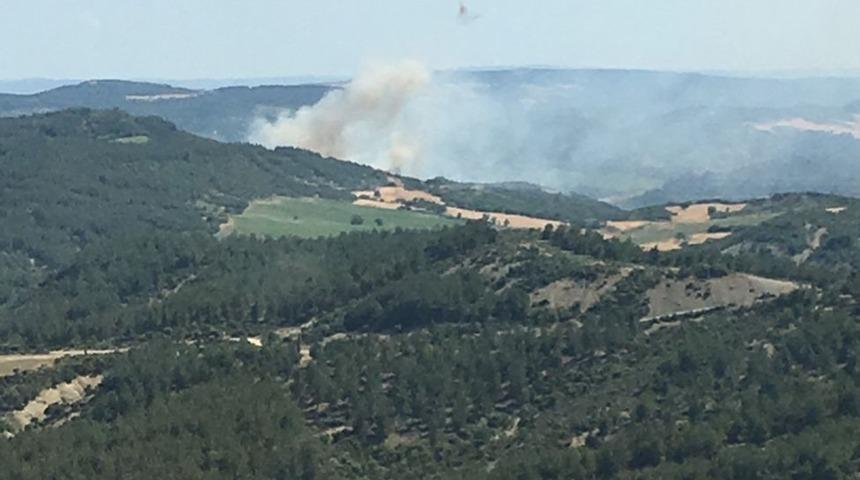Çanakkale'de tarım arazisinden makilik alana sıçrayan yangın söndürüldü