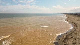 Sakarya'da sağanağın ardından Kocaali sahilinde kirlilik oluştu